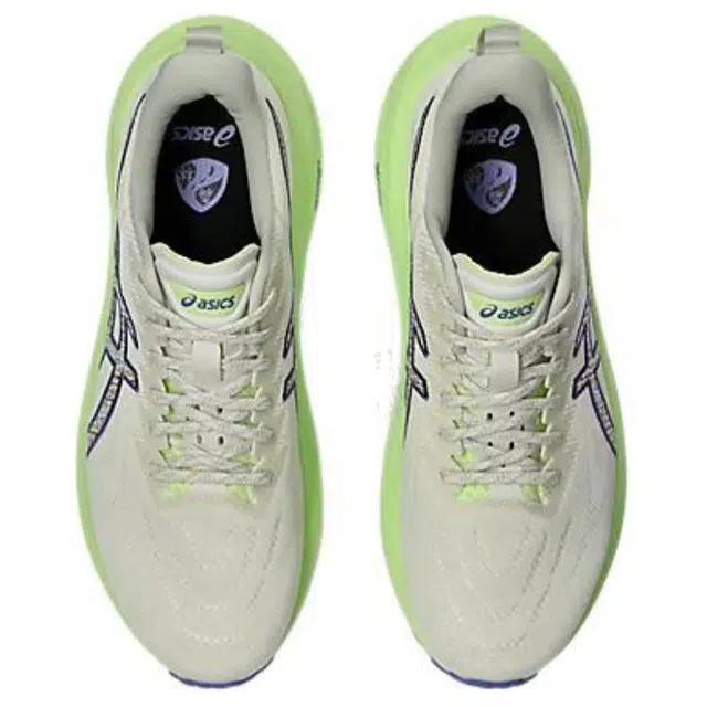 Asics GT-2000 13 TR