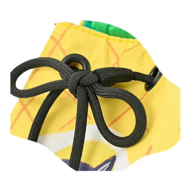 LeSportsac