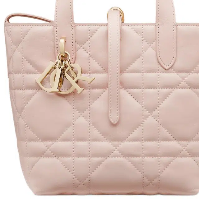 DIOR Toujours