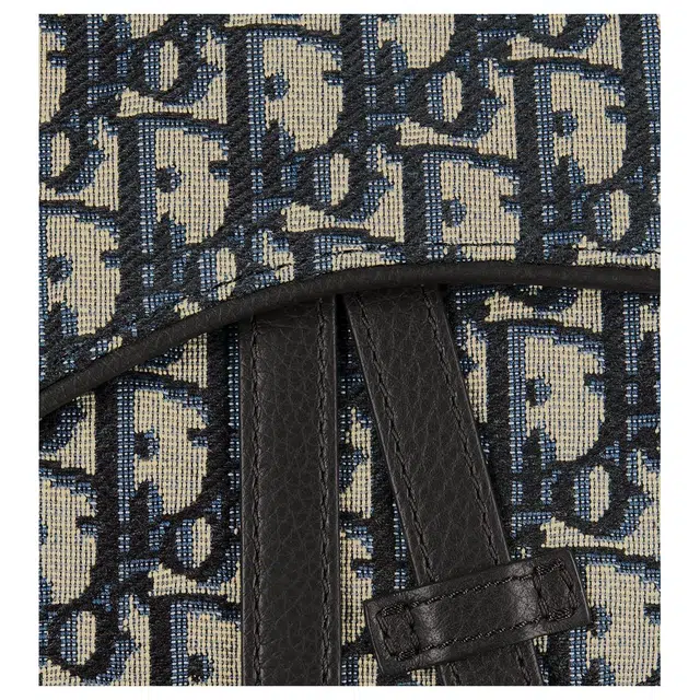 DIOR Oblique