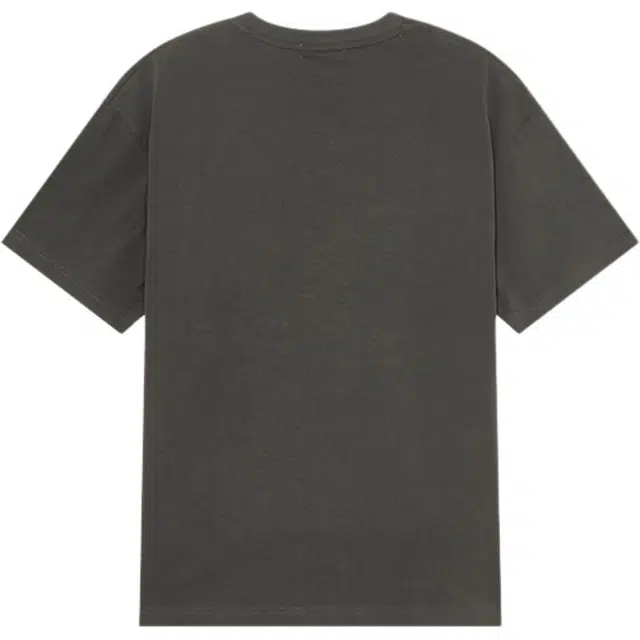 NOISY TEDDY T
