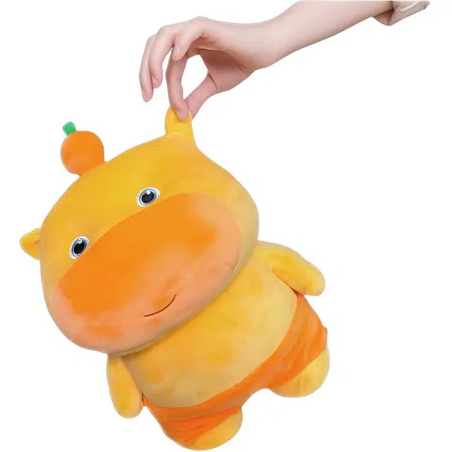 FKOFR 25cm35cm