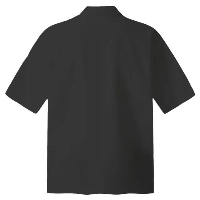 songlan VPolo