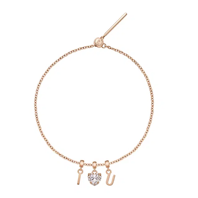 Daniel Wellington CHARMS CHARMS DW