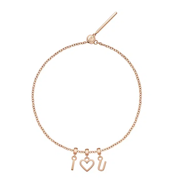 Daniel Wellington Charms Bracelet