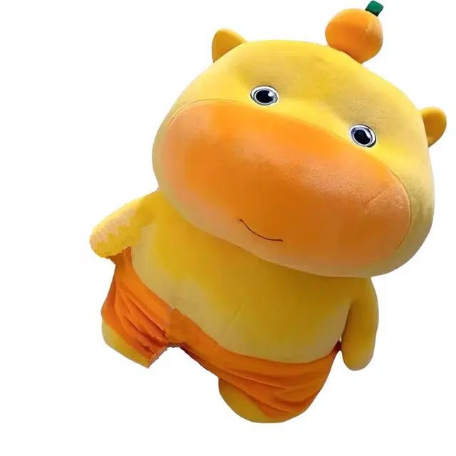 FKOFR 25cm35cm