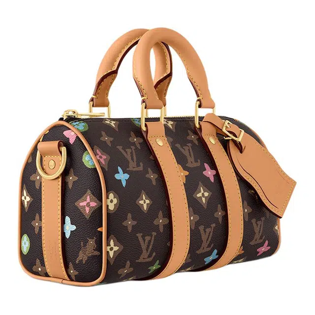 LOUIS VUITTON x Tyler keepall 25