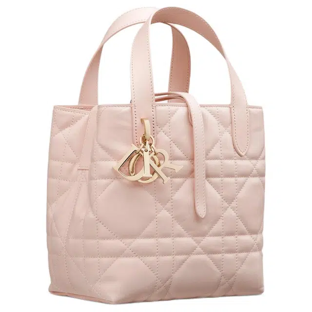 DIOR Toujours