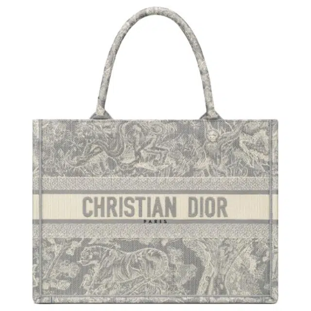 DIOR BookTote Tote
