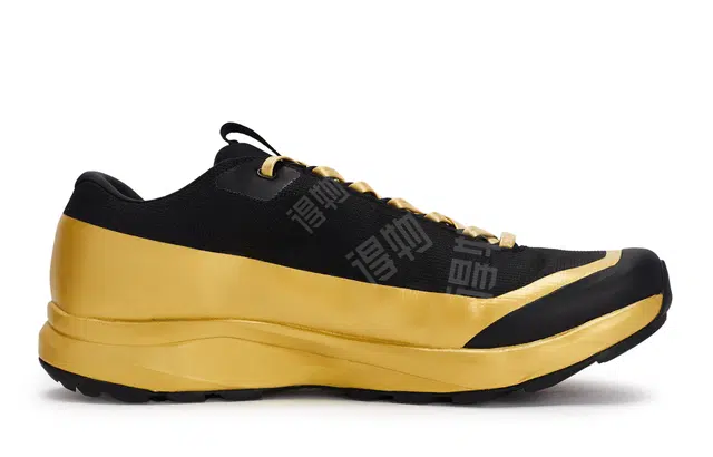 Arcteryx Aerios Fl 2 GTX 811