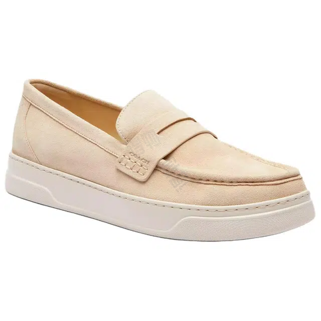 COACH Hybrid