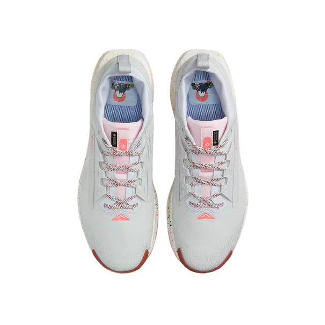Nike Pegasus Trail 5