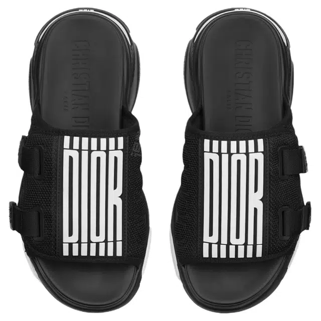 DIOR D-Wander