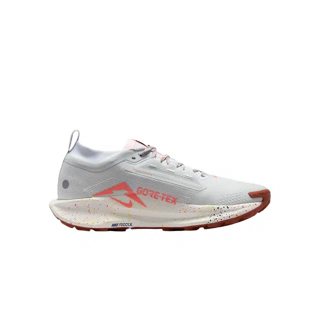 Nike Pegasus Trail 5