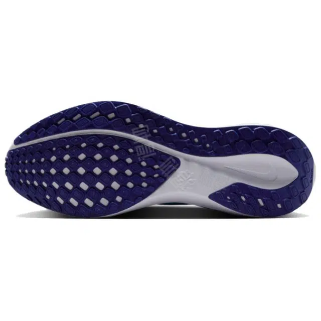 Nike Pegasus 41