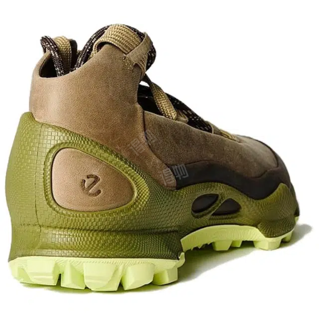 Natacha x ecco Biom C Trail