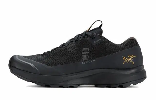 Arcteryx Aerios Fl 2 GTX 811