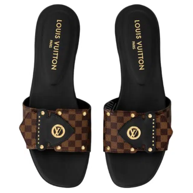 LOUIS VUITTON Frame