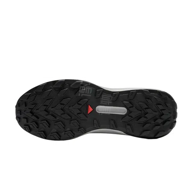 SALOMON GENESIS