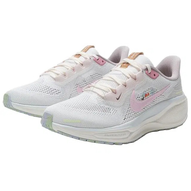 Nike Pegasus 41 AIR ZOOM