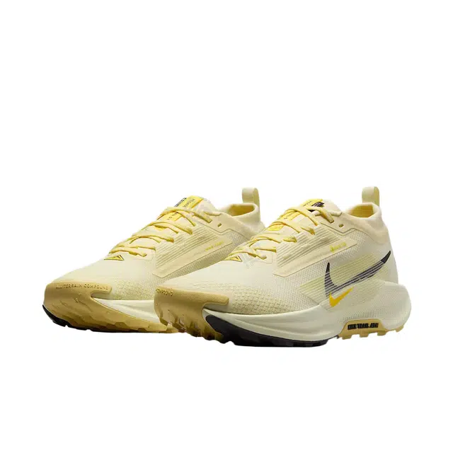 Nike Pegasus Trail 5 GORE-TEX