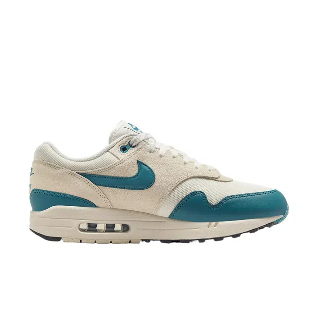 Nike Air Max 1