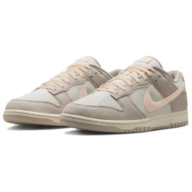Nike Dunk Retro SE