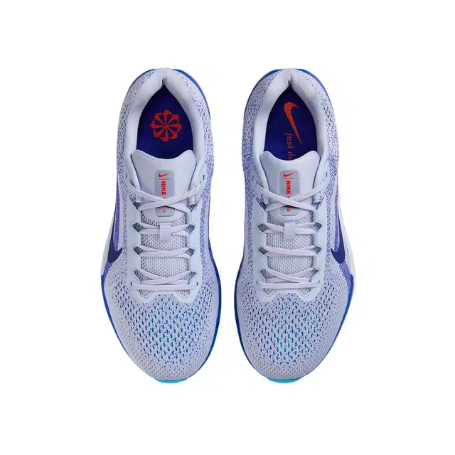 Nike Winflo 11