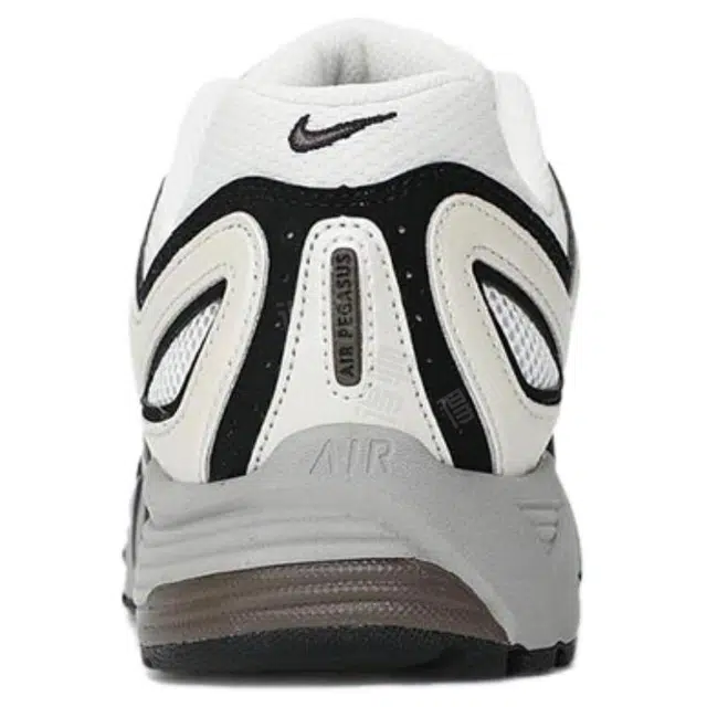 Nike Air Pegasus 2005