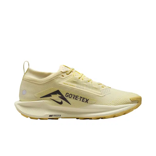 Nike Pegasus Trail 5 GORE-TEX