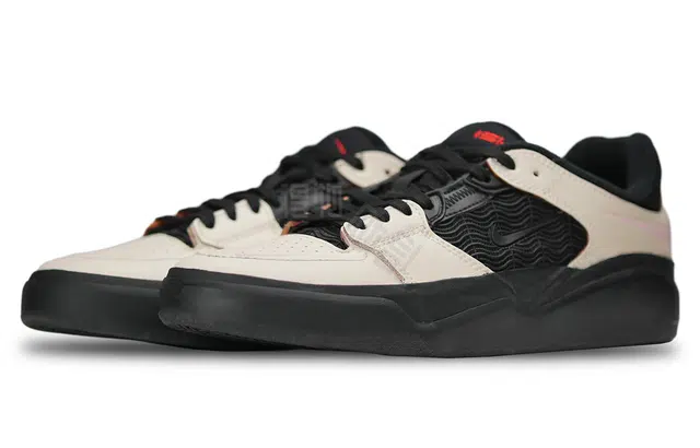 Nike SB Ishod