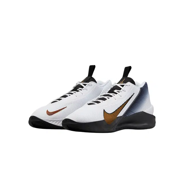 Nike G.T. Jump Academy EP White Black Metallic Gold