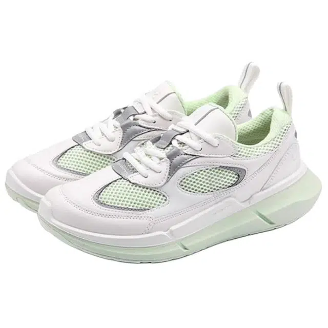 ecco BIOM2.2