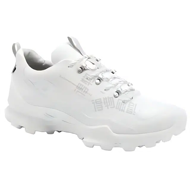 White Mountaineering ecco Biom C Trail
