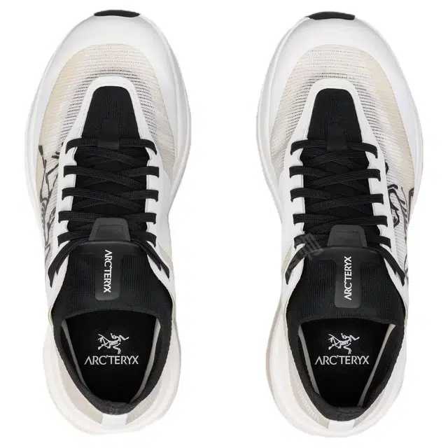 Arcteryx SYLAN PRO