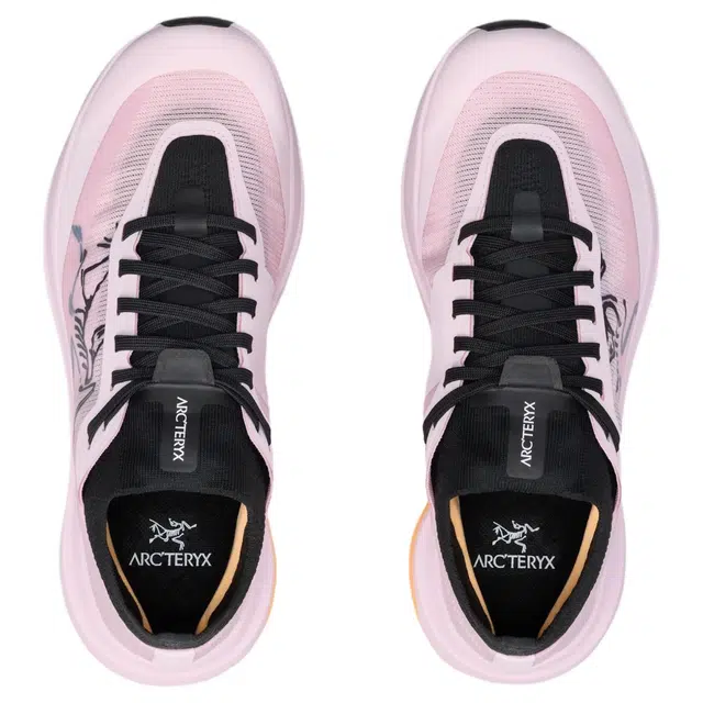 Arcteryx SYLAN PRO
