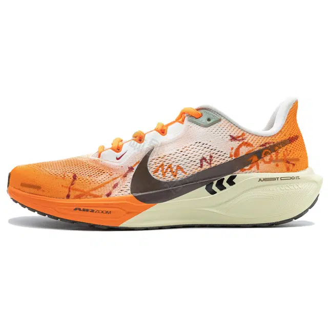 Nike Zoom Pegasus 41