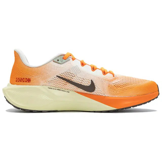 Nike Zoom Pegasus 41