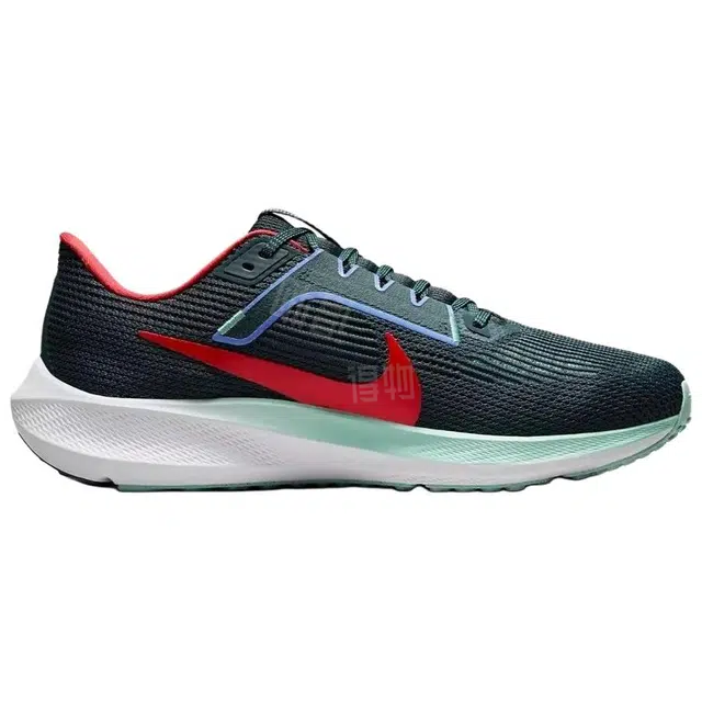 Nike Air Zoom Pegasus 40