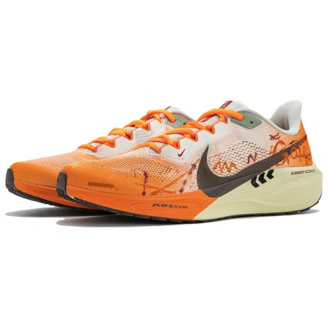 Nike Zoom Pegasus 41
