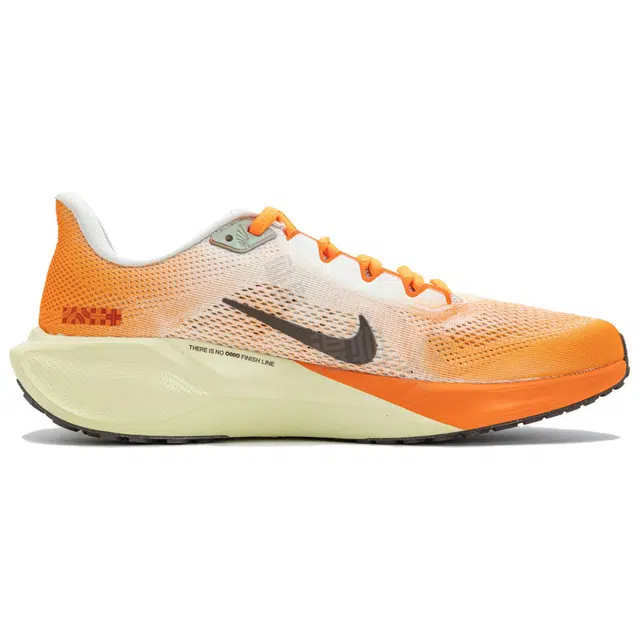 Nike Zoom Pegasus 41