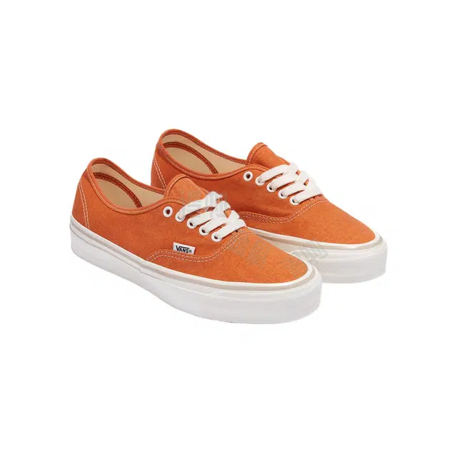 Vans MTE Authentic