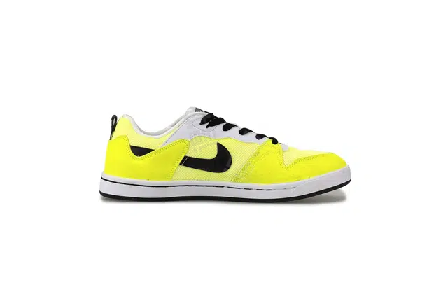 Nike SB Alleyoop