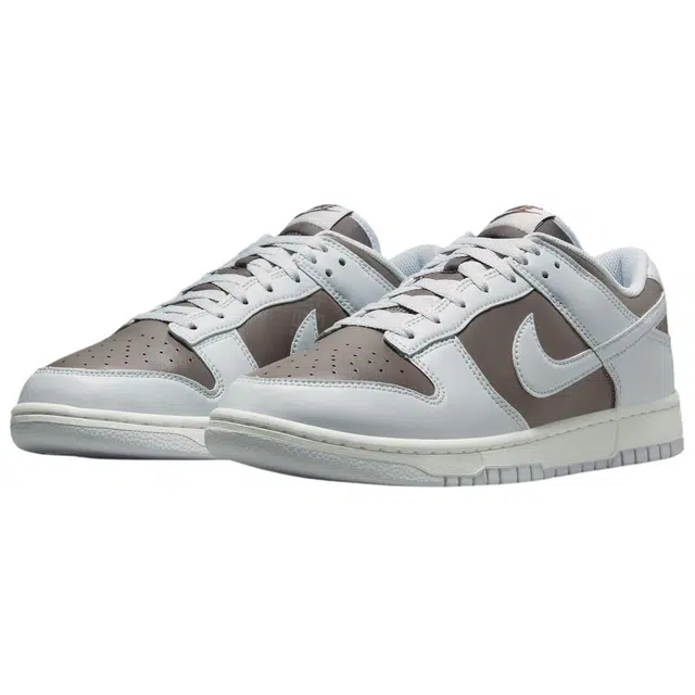 Nike Dunk Low Brown Grey