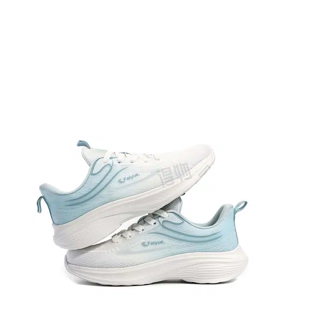 Feiyue