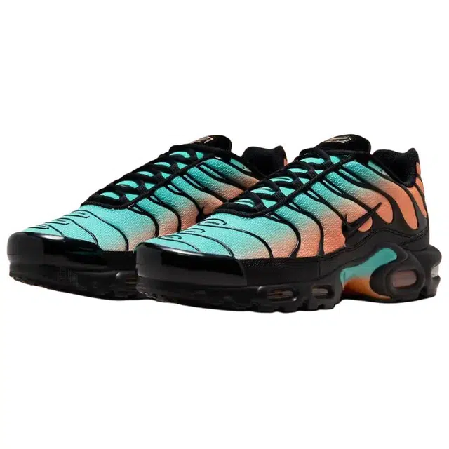 Nike Air Max Plus "South Florida"