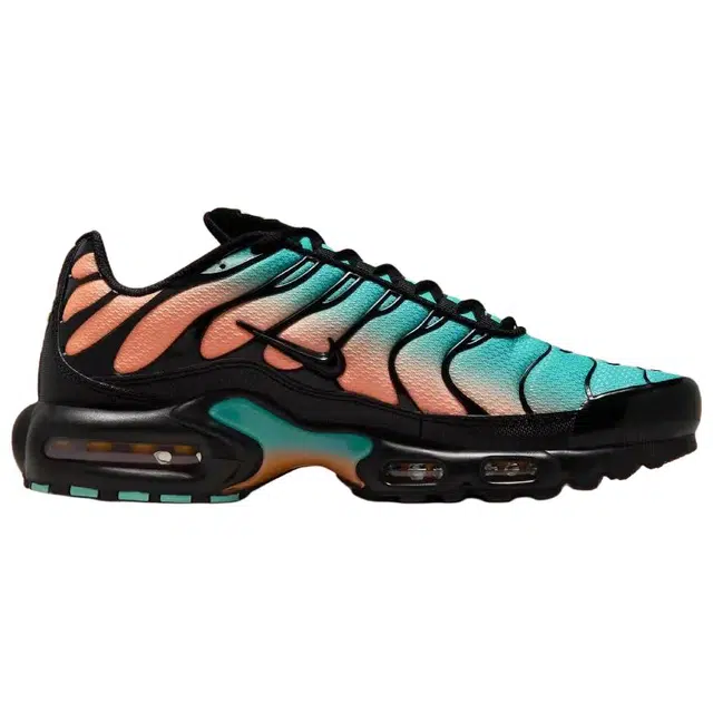 Nike Air Max Plus "South Florida"