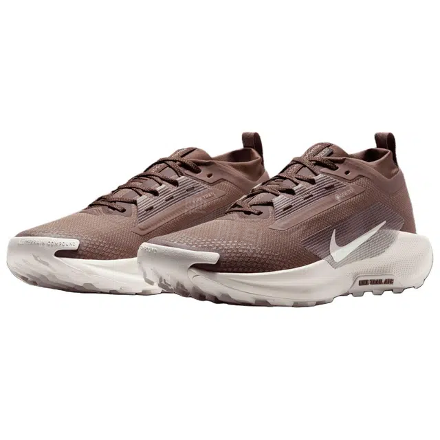 Nike Pegasus Trail 5 GORE-TEX