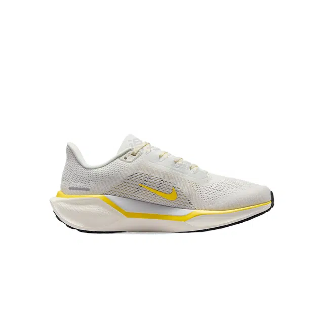 Nike Pegasus 41