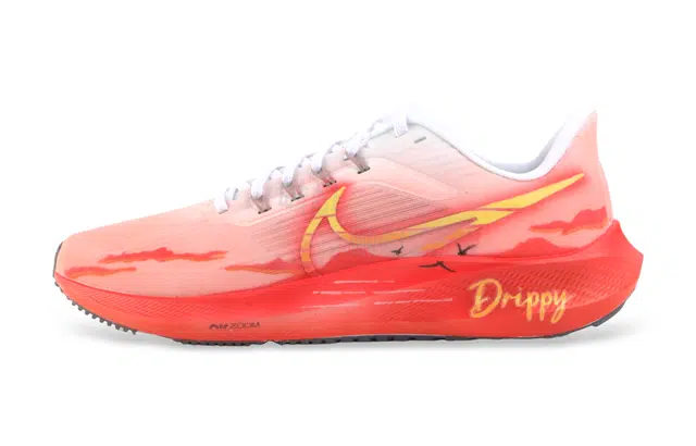 Nike Air Zoom Pegasus 39